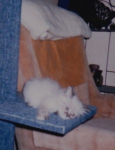 Me bein' cute fur mommy