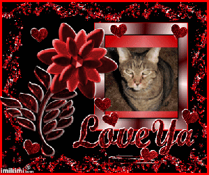 Luv ya' bunches. Lexi