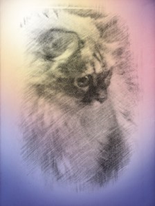 Mommy finks me be very purretty here.