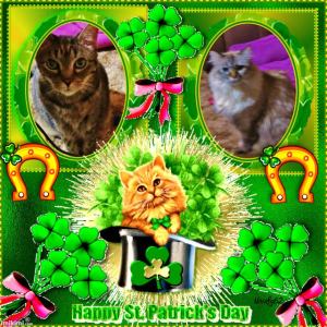 Happy St. Patrick's Day tu you frum Meez and Lexi.