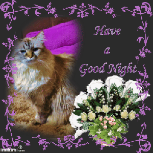 Nite me furiends. Dezi