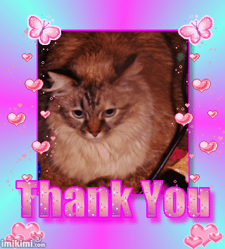 Fank yous all so much fuw shawin meez sisfuw Lexi's 15f Meowday!!!