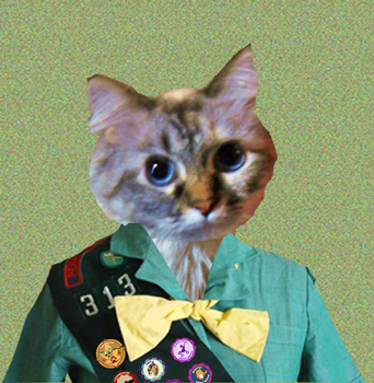 Don't meez look official in meez new unifowm?? Meez be so purroud.