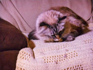 Hav a peaceful and westful Sunday. We's are.