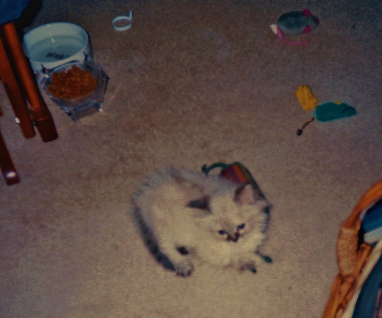 Meez keepin' and eye on meez new mommy. :)