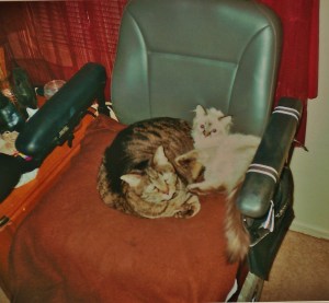 Meez and Lexi luv each uddew vewy much. :)