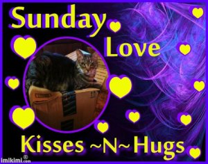 What more can we's say :)