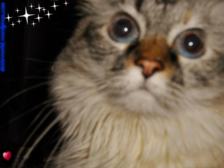 Luv meez mommy, Purrlease......