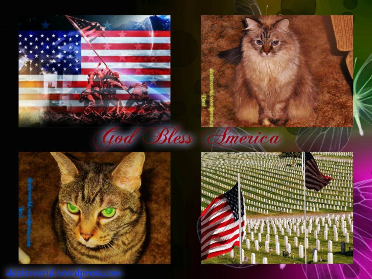 God Bless America!!! Fank yous tu ow twoops. *Salute*