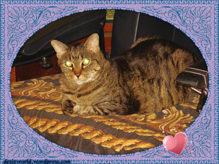 I'z lubz youz mommy. Juzt a foo more nomz. 