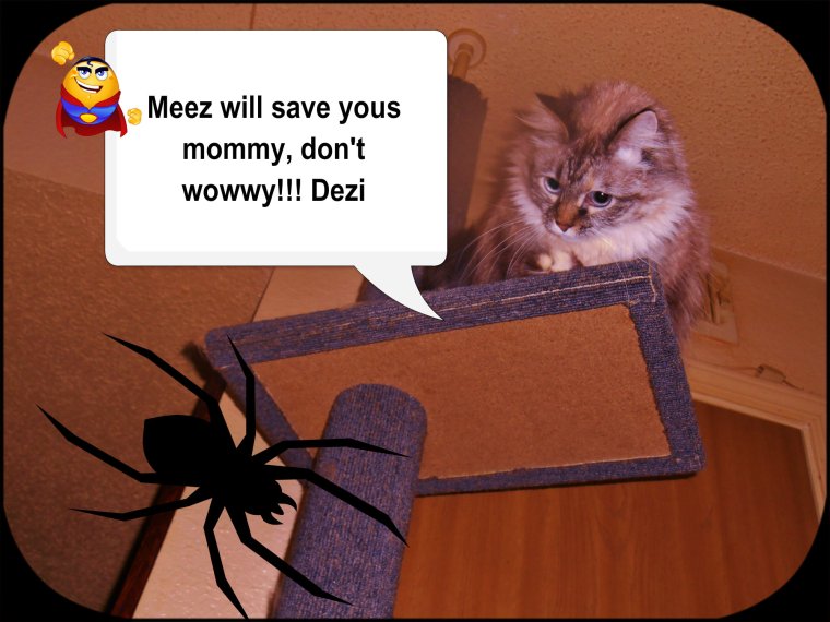 Meez saved yous mommy!!