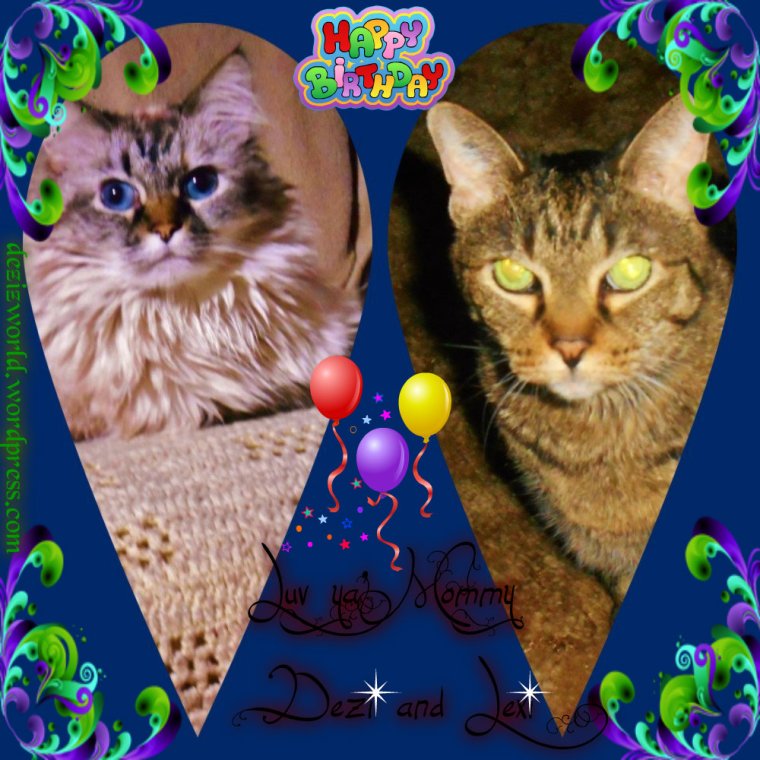 Happy Meowday Mommy!!! Weees Luv yous verrrrrry much.