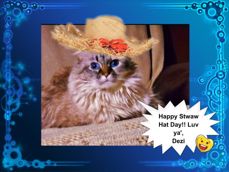 Meez helped mommy pick meez out a cute giwly hat. 