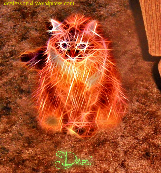 Meez finks dis is so cool. Meez looks like 'lectwicity. MOL