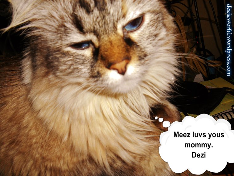 Meez luvs yous mommy.