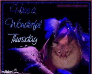 Hav a Wunnewful Purrsday Fursday!!!