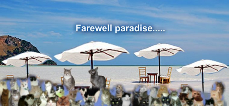 Dis be all of us gettin' weady tu leav.