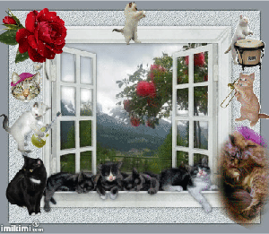 Happy Kitty Dance. Meez washin' up fuw meez innewview.