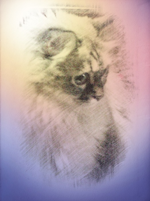 Meez colow sketch pictuwe.