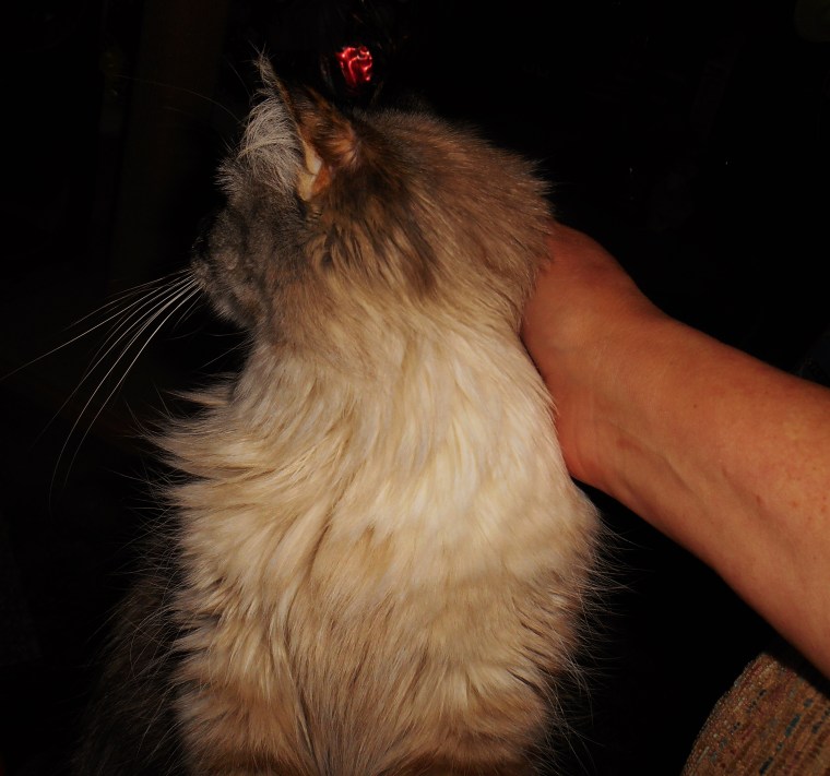 Meez gunna stay wight hewe and watch da wain. Just fuw a minute.