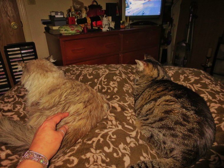 Wees all weady fuw bed. Tuwn da camewa off mommy.