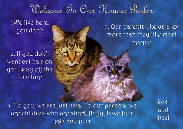 Fawt yous mite enjoy seein' ow house wules.