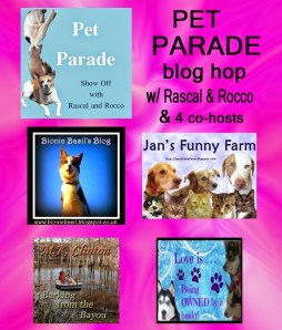 Meez wus featuwed in da Blog Hop!!