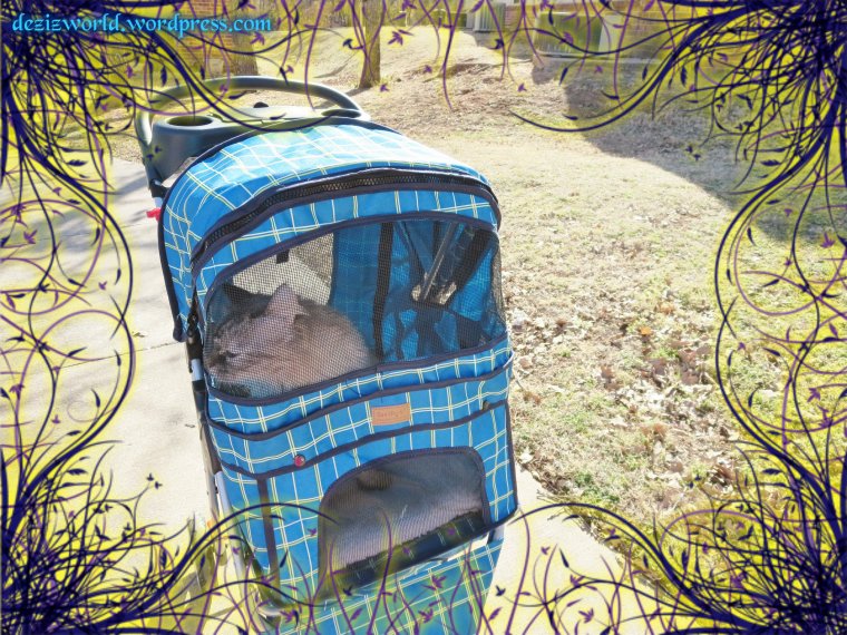 Let's go mommy. Wees got places tu be and people tu see. 