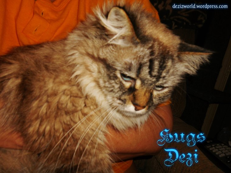 Meez much happiew den meez looks. 