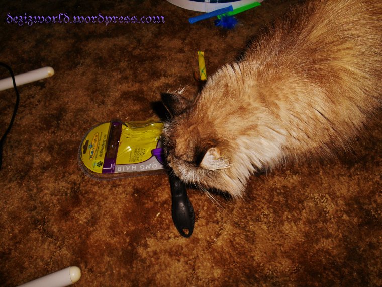 Oooh What's dis mommy? Da Furminator? What's it du?