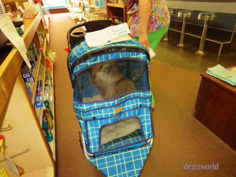 Meez luvs visitin' da fawmacy.