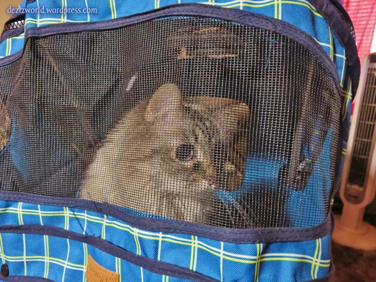 Wees goin' tu da doctow and wees gunna get mommy bettew.