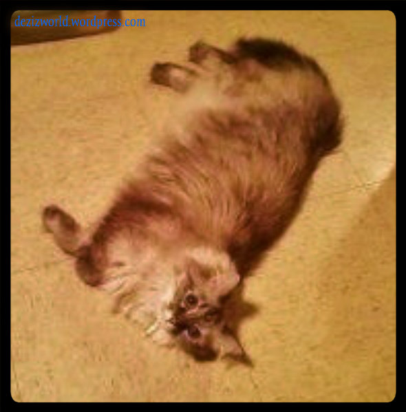 Aaaaaaaw Da floow be nice and cool!!!