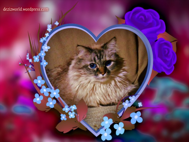 Happy Father's Day!!!