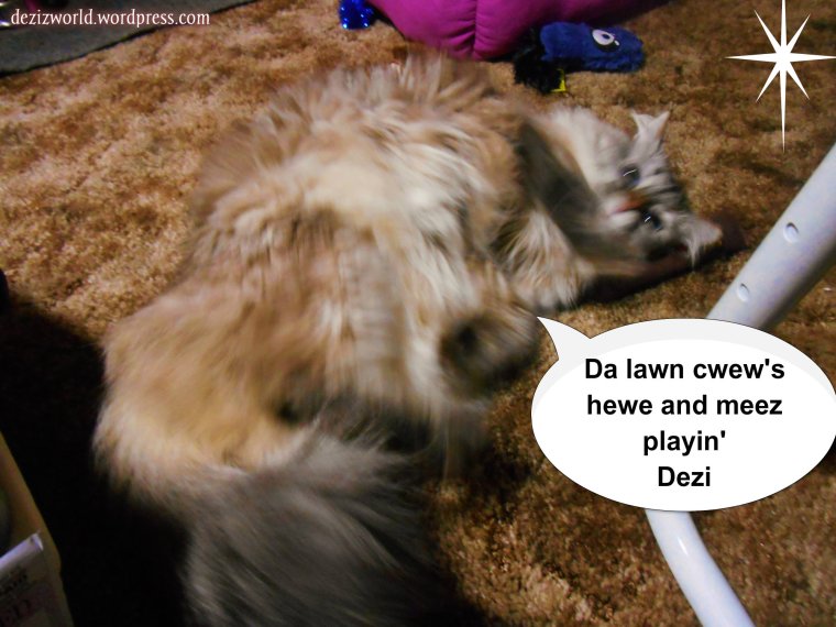 Da lawn cwew is hewe and meez dusn't even cawe.