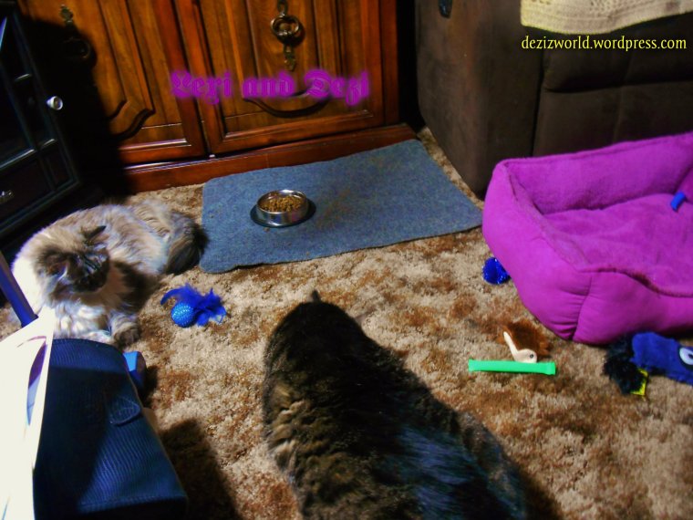 Noze mommy I'z ain't lookin' til youz tern off da flash.