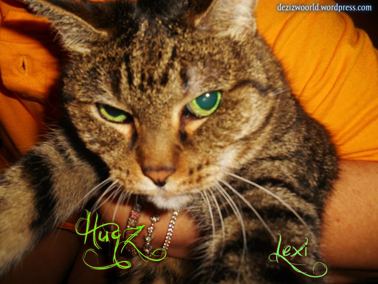 I'z lubz mommyz hugz.