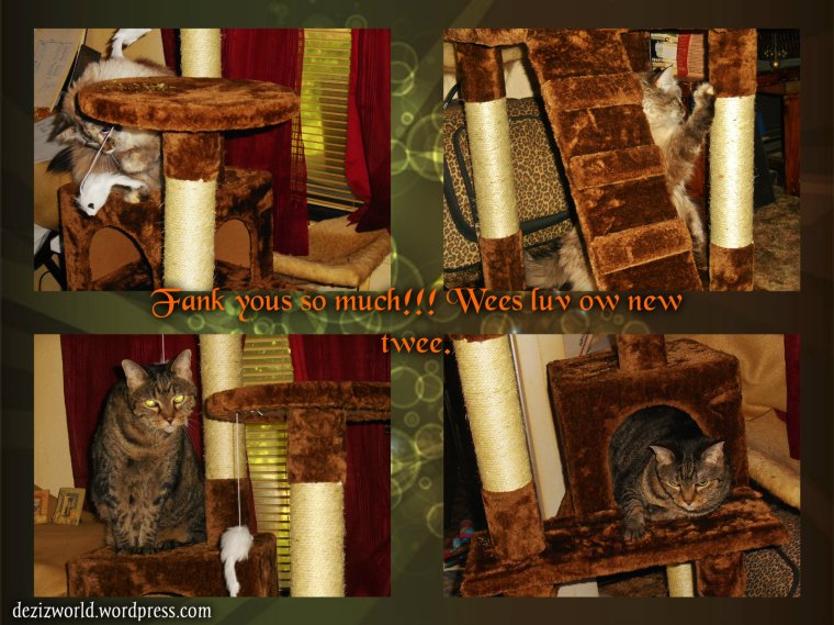 Fank yous sooooooo much!!!!!