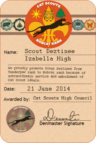 card-membership-promotion-dezi-322x480