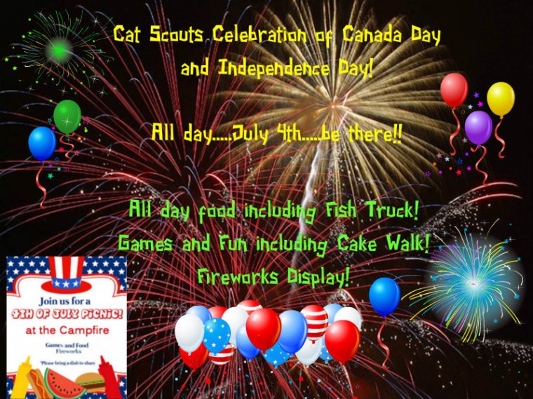 Cat Scouts  July 4 party