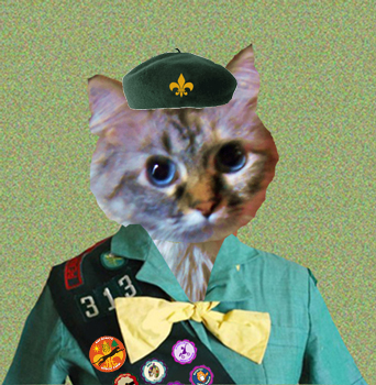 Bobcat Dezi wepowtin' tu sewve.  *Salute*