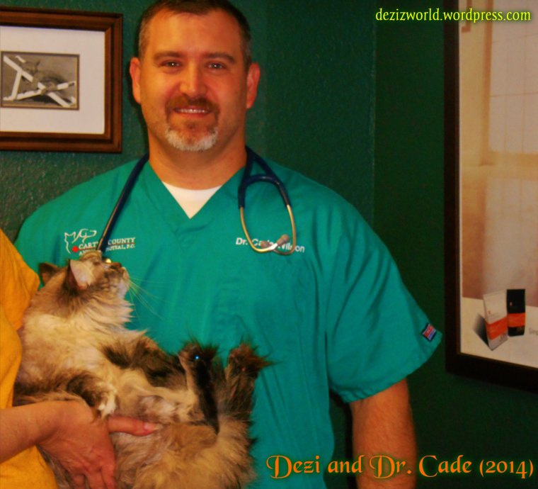 Meez luvs Dr. Cade but hims wusn't takin' any chances. MOL