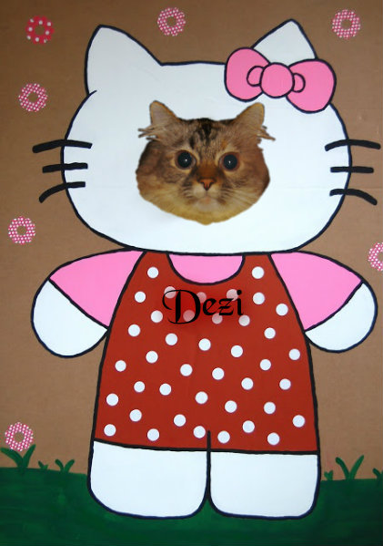 Meez memento foto fwum Calista Jo''s pawty.