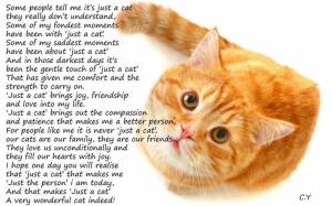 Just a Cat