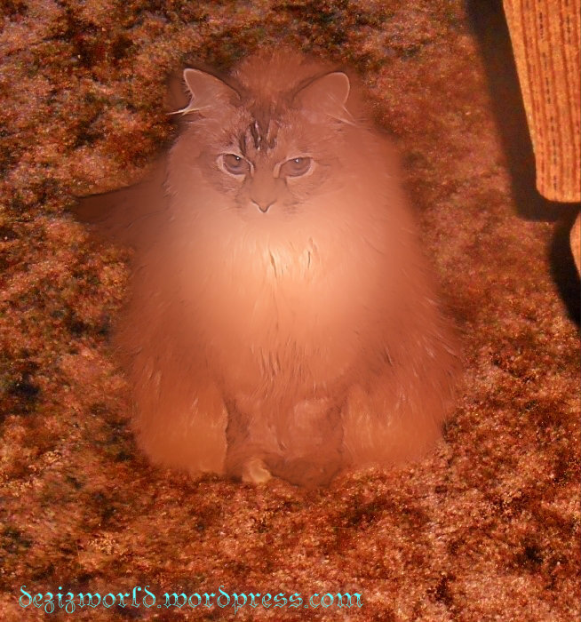 Meez aglow just like da fiwe works. MOL