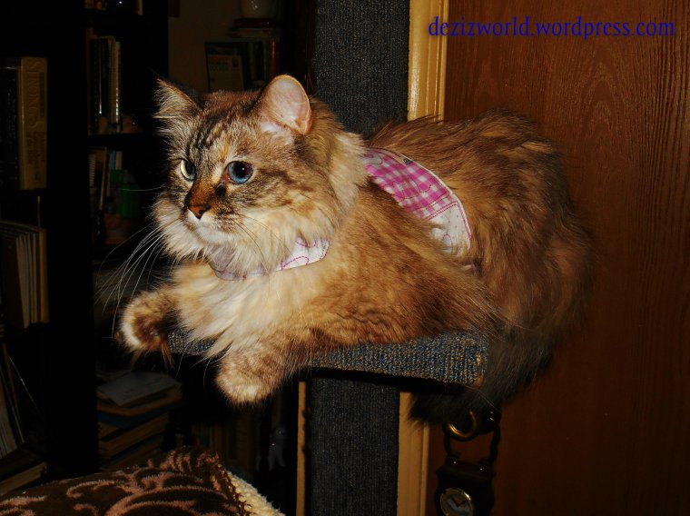 Dusn't me look spiffy?