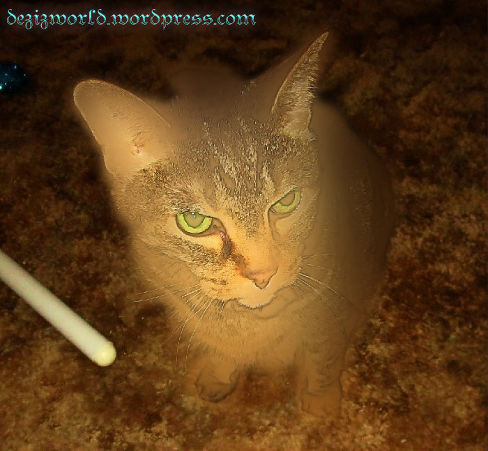 I'z awl aglow tu. MOL