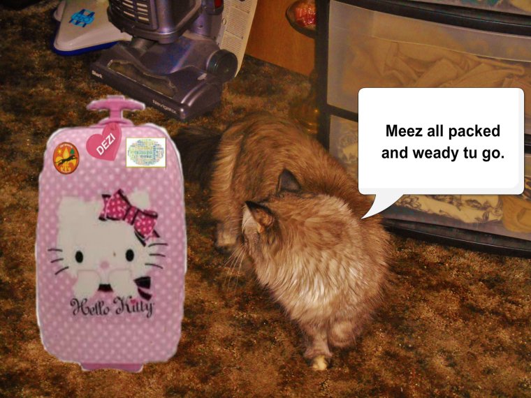 Isn't meez suitcase just da cutest?