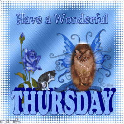 Have A Wonderful ThursdayDezi - 2HEoW-176 - normal