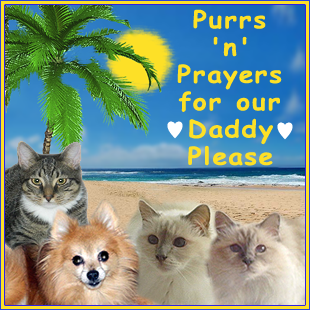 Purrs n Prayers for Daddy